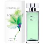 Miraculum Bonjour