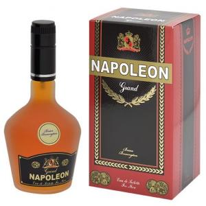 Brian Bossengton Napoleon Grand
