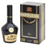 Brian Bossengton Napoleon