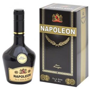 Brian Bossengton Napoleon