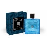 Vinci Ulysse Wind