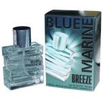 Festiva Blue Marine Breeze