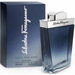 Salvatore Ferragamo Subtil Man