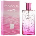  21  Molecule Sea Rose
