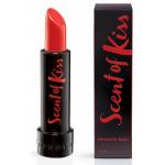 Armand Basi Scent of Kiss