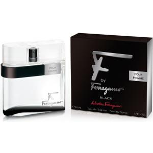 Salvatore Ferragamo F by Black