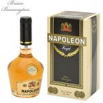 Brian Bossengton Napoleon Royal