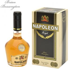 Brian Bossengton Napoleon Royal