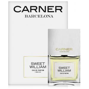 Carner Barcelona Sweet William
