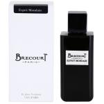 Brecourt Esprit Mondain