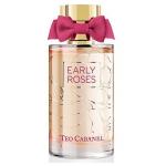Teo Cabanel Early Roses