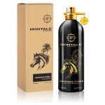 Montale Arabians Tonka