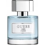 Guess 1981 Indigo Homme