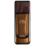 Evody Blanc de Sienne