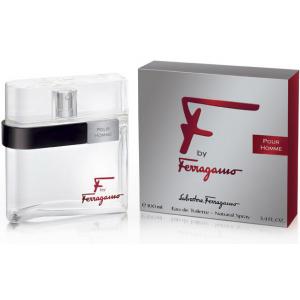 Salvatore Ferragamo F by Man