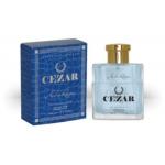 Andre Renoir Cezar
