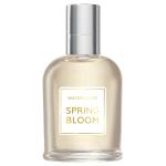 Brocard Watercolor Spring Bloom
