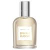 Brocard Watercolor Spring Bloom