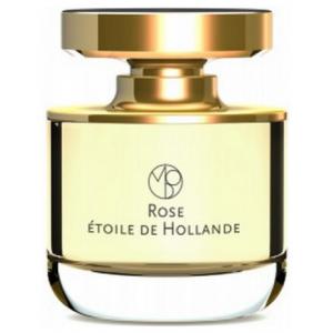 Mona di Orio Rose Etoile de Hollande
