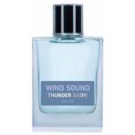 Brocard Wind Sound Thunder Snow