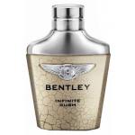 Bentley Infinite Rush