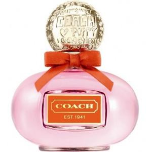 Coach Poppy