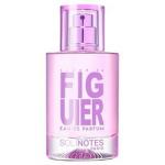 Solinotes Fleur de Figuier