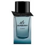 Burberry Mr Element