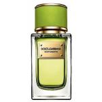 Dolce & Gabbana Velvet Mughetto