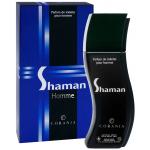 Arno Sorel Shaman