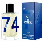 Iceberg Cedar