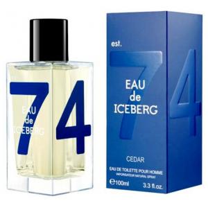 Iceberg Cedar