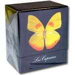 Les Copains Papillon