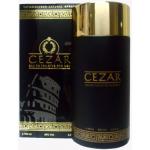 Guy Alari Cezar