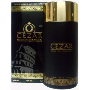 Guy Alari Cezar