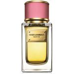 Dolce & Gabbana Velvet Rose
