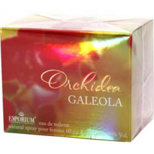 Emporium Orchidea Galeola