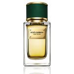 Dolce & Gabbana Velvet Vetiver