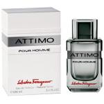 Salvatore Ferragamo Attimo Man