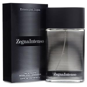 Ermenegildo Zegna Intenso