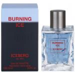 Iceberg Burning Ice