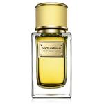 Dolce & Gabbana Velvet Mimosa Bloom