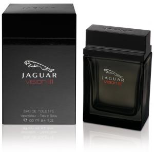 Jaguar Vision III