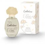 Gres Cabotine Fleur D'ivoire