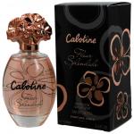 Gres Cabotine Fleur Splendide