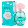 Gres Cabotine Floralie