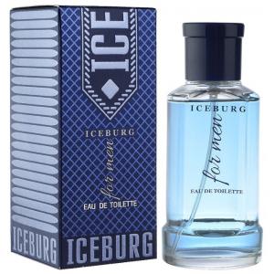  21  Iceburg