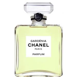 Chanel Gardenia