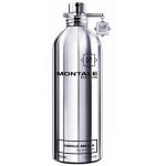 Montale Vanille Absolu