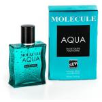  21  Molecule Aqua